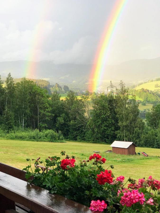 Отель Na Planyrce Пасеки-над-Йизероу Экстерьер фото